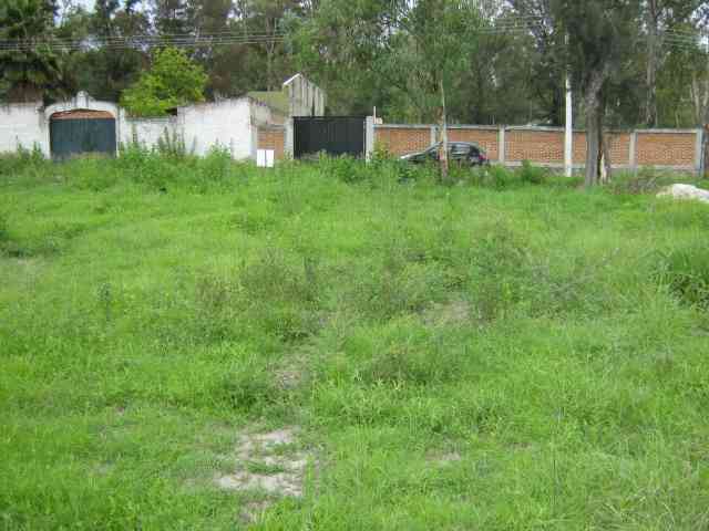 terreno en venta agua profunda agua escondida ixtlahuacan de los membrillos jalisco pNNY4E8